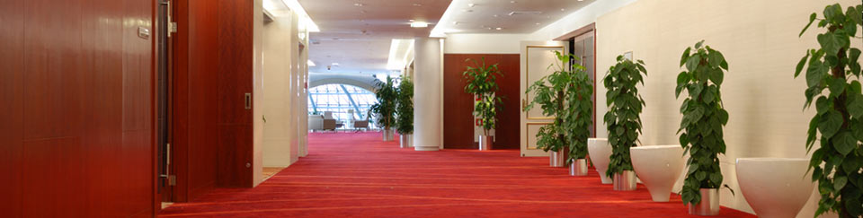 Commercial Carpet cleaning in Newcastle